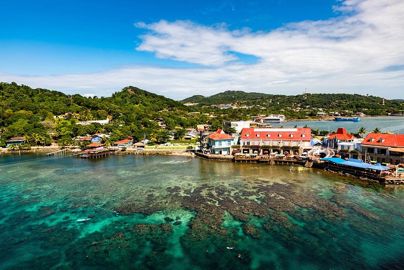 De kust van Roatan in Honduras van Dieter Walther