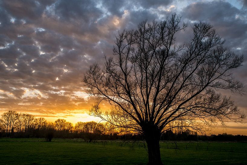 Zonsondergang De Gavers von Ronald De Neve