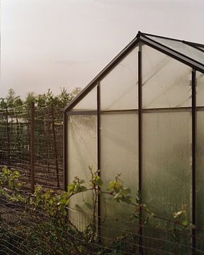Garden house fog van Monja van Deurzen