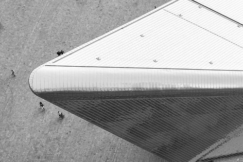 Een vogelvlucht over het Centraal Station van Rotterdam