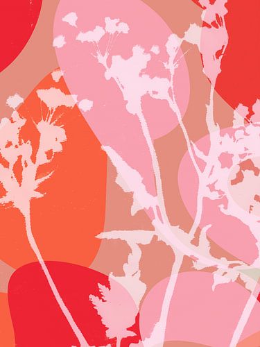 Moderne kleurrijke abstracte botanische kunst. Witte bloemen op roze oranje, rood