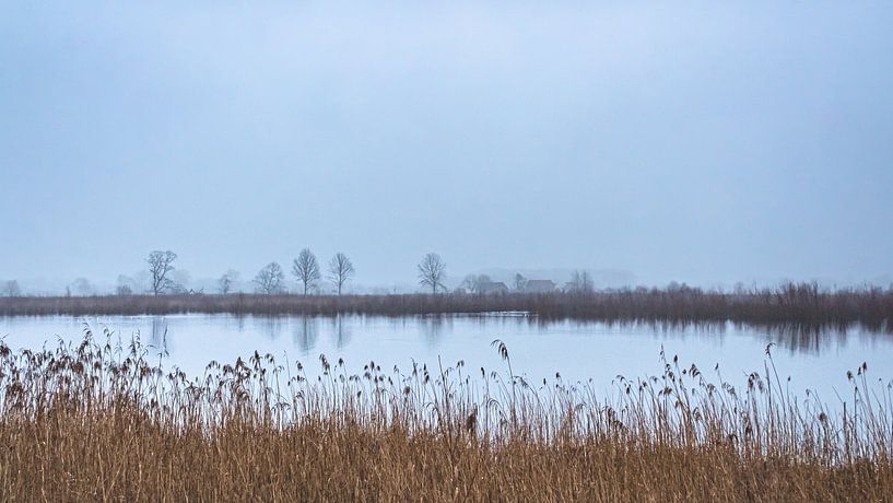Mistig ochtendgloren | Landschap | Panorama | Bourgoyen Gent van Daan Duvillier | Regio in de Kijker