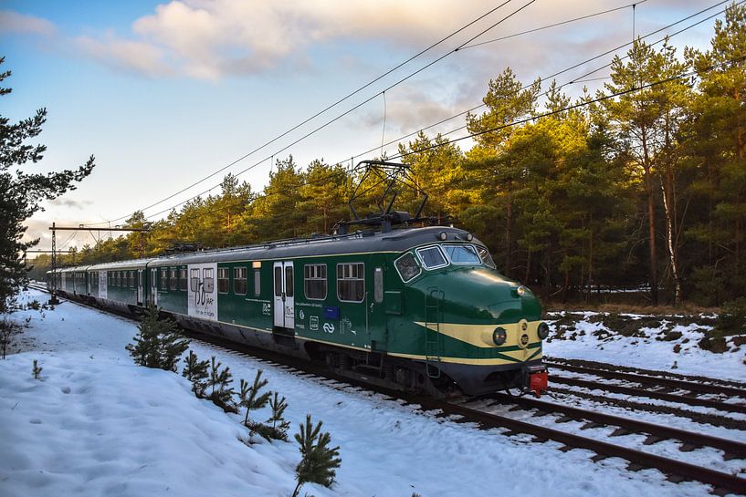 NS 766 Stichting Hondekop von Marcel Timmer