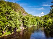 View of the river Zschopau in the Ore Mountains by Animaflora PicsStock thumbnail