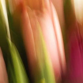 Tulpen 2 van Rob Jansen