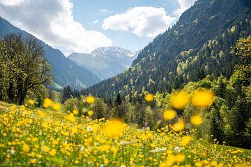Wunderschöne Gerstruben am Trettachtal im Frühling mit schönen Blumen von Leo Schindzielorz