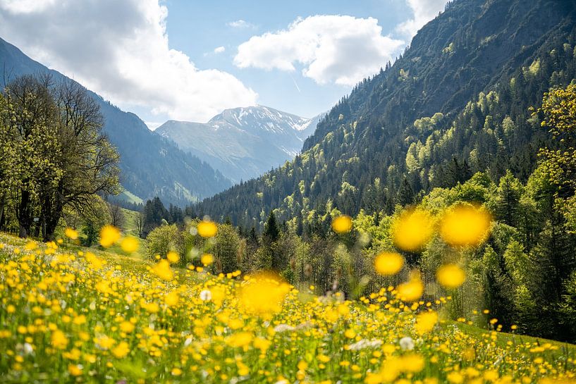 Wunderschöne Gerstruben am Trettachtal im Frühling mit schönen Blumen von Leo Schindzielorz
