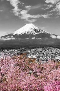Magnifique vue sur le Fuji | colorkey