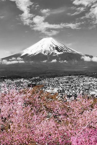 Prachtig uitzicht op Fuji | colourkey