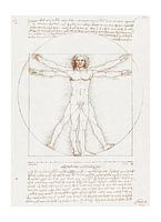 The Universal Man - Drawing of Da Vinci's Vitruvius