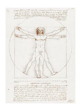 De Universele Mens - Tekening van Da Vinci's Vitruvius van Atelier Kinst