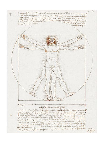 The Universal Man - Drawing of Da Vinci&#039;s Vitruvius by Atelier Kinst