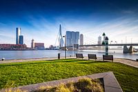 Kop van Zuid and the Erasmus Bridge in Rotterdam