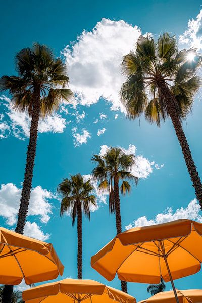 Sunny palm trees under a blue sky by Poster Art Shop