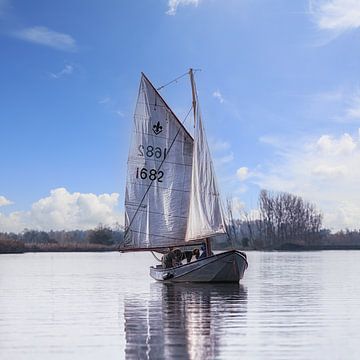 Zeilboot in de Biesbosch - vierkante kleurenfoto van Kees Dorsman