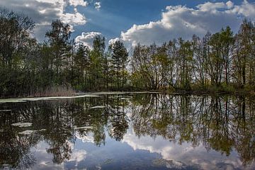 The lake is still resting van Ursula Di Chito