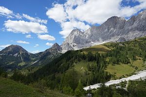 Dachstein Mark III