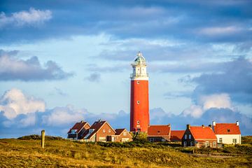 Texel lighthouse in the dunes