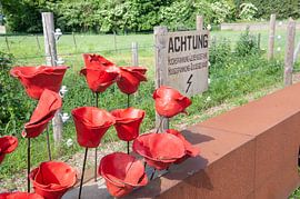 Death row memorial Kotem. by Richard Wareham