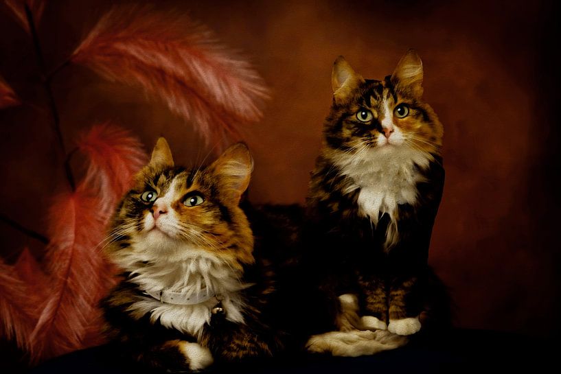 Painterly  Beauty the Cats by PhotoManiX Digital Photography