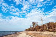Landschap aan de kust van de Oostzee in Graal-Müritz van Rico Ködder thumbnail