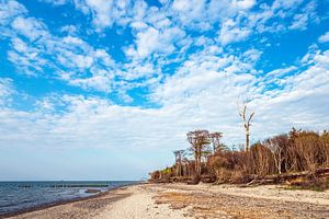 Landschaft an der Küste der Ostsee in Graal-Müritz
