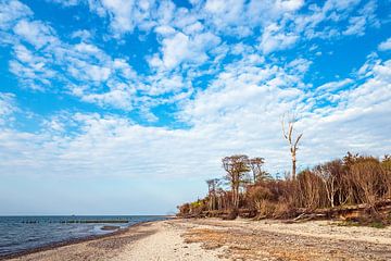 Landschap aan de kust van de Oostzee in Graal-Müritz