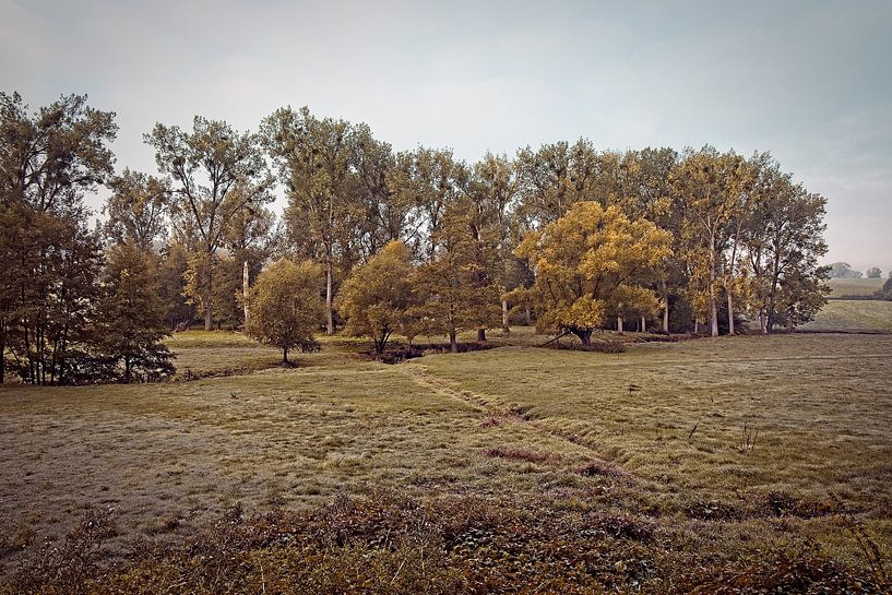 Geul Valley @ Epen by Rob Boon
