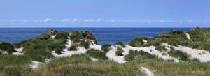 DUINEN VLIELAND van Sybrand Treffers