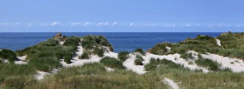 DUINEN VLIELAND sur Sybrand Treffers