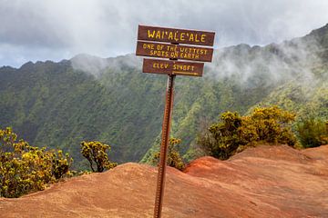 One of the wettest spots on earth: Waiʻaleʻale - Kauaʻi (Hawaii) von t.ART