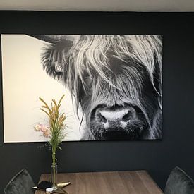 Customer photo: Portrait Scottish Highlander black and white by Sandra van Kampen, on canvas