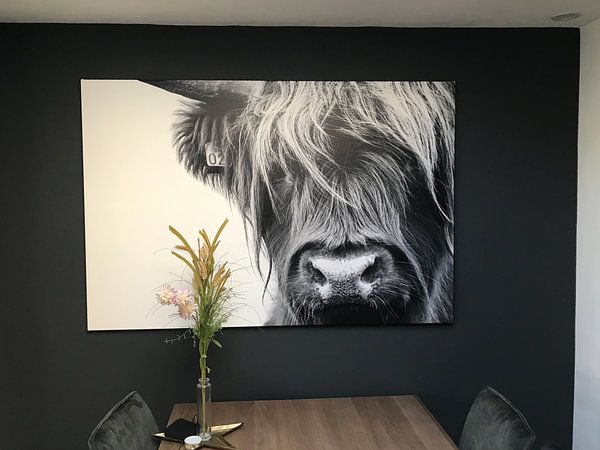 Customer photo: Portrait Scottish Highlander black and white by Sandra van Kampen, on canvas