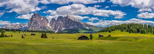 Alpe Di Siusi - Seiser Alm - Dolomieten panorama