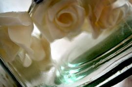 flowers by Evelien Gubbels