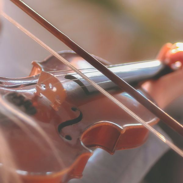 Violon par Thomas Heitz