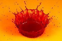 splash