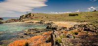 Spiky Beach in Tasmanië, Australië van Sven Wildschut thumbnail