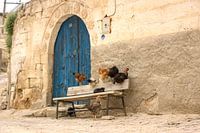 Die zeitlose Landschaft von Kappadokien