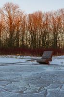 Bench at frozen water next to the Bosbaan in Amsterdam