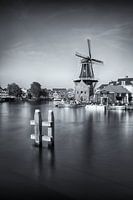 Stadtbild Haarlem