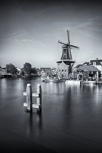 Stadtbild Haarlem