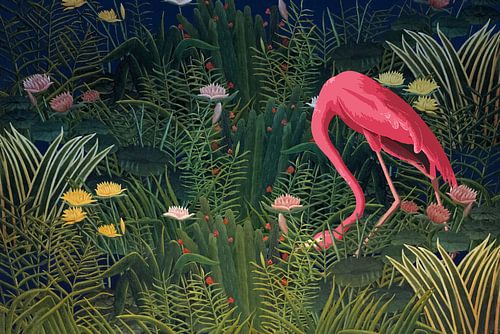 American flamingo snooping around