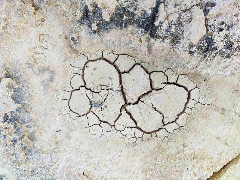 Fissures dans le sol par Romuald van Velde