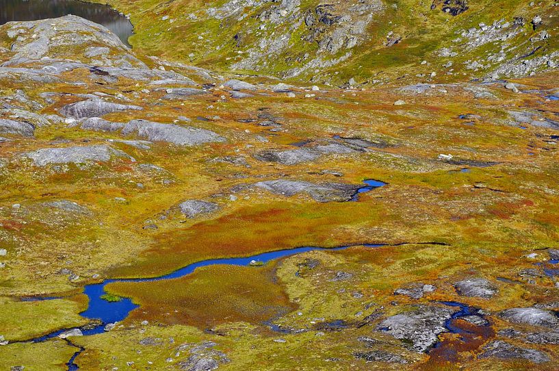 Rondane Nationaal Park van Karin Jähne
