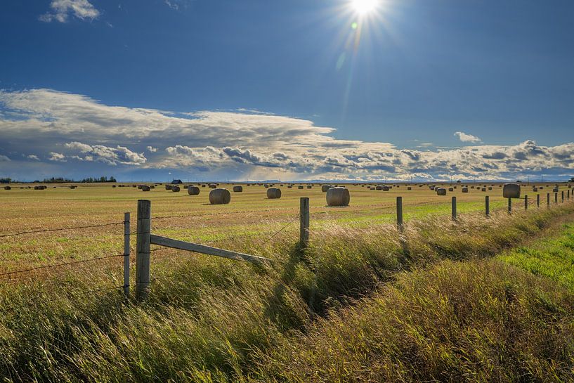 Round bales of straw on a harvested grain field with dramatic cloudy sky. by Christiaan Poot