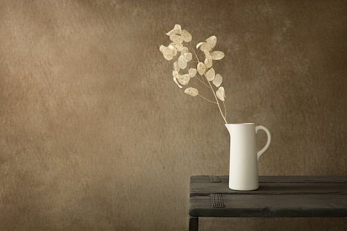 Stilleven met gedroogde Judaspenning