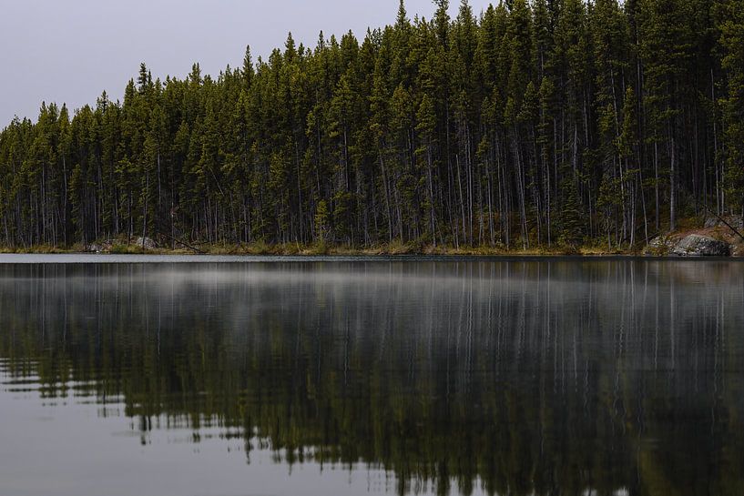 Fog on the water by Eline Huizenga