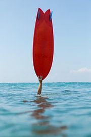 GO FISH by Melchior | Lifestyle Art Photography