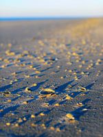 Schiermonnikoog - Schelpengordel